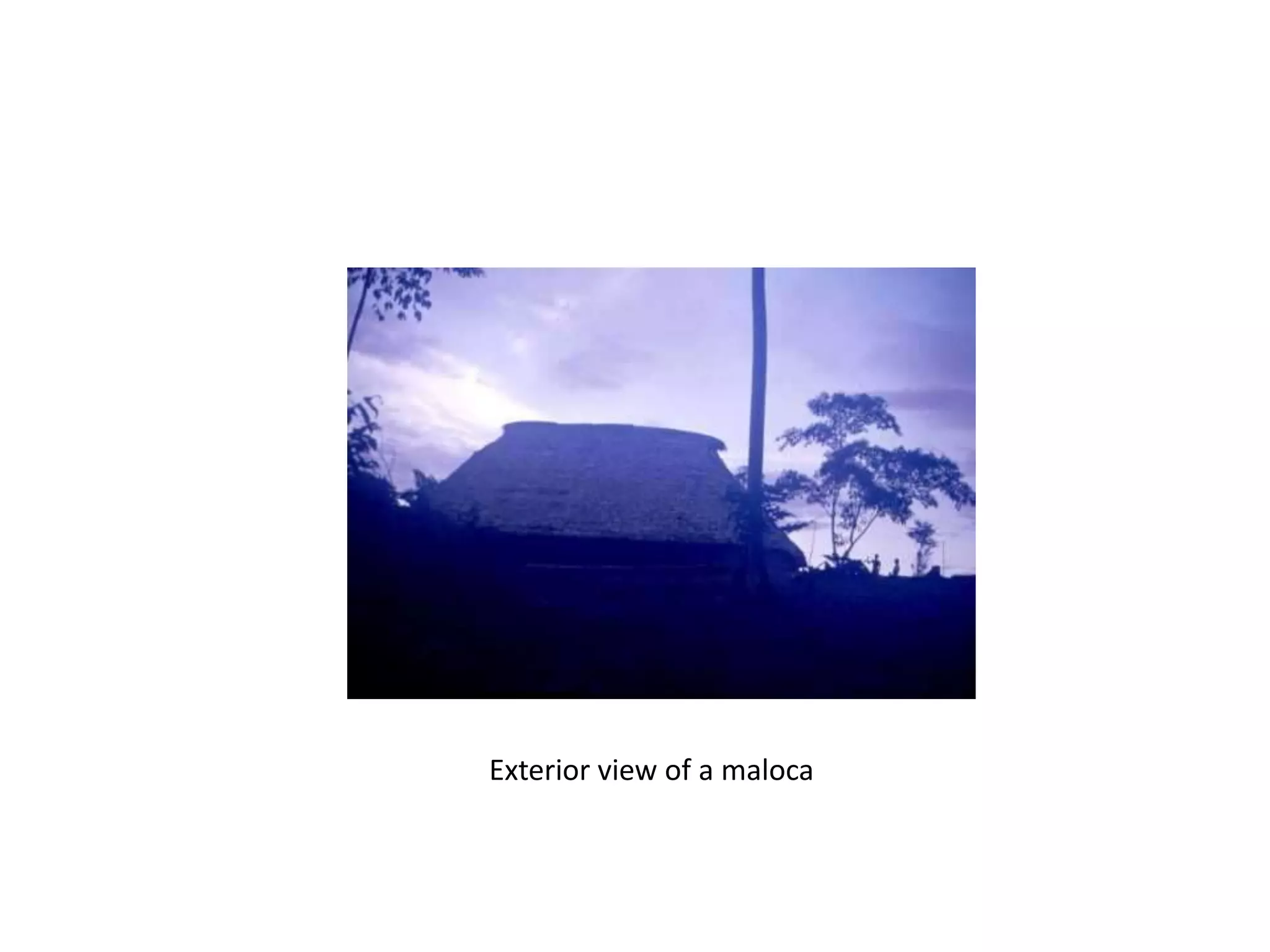 Exterior view of a maloca
 