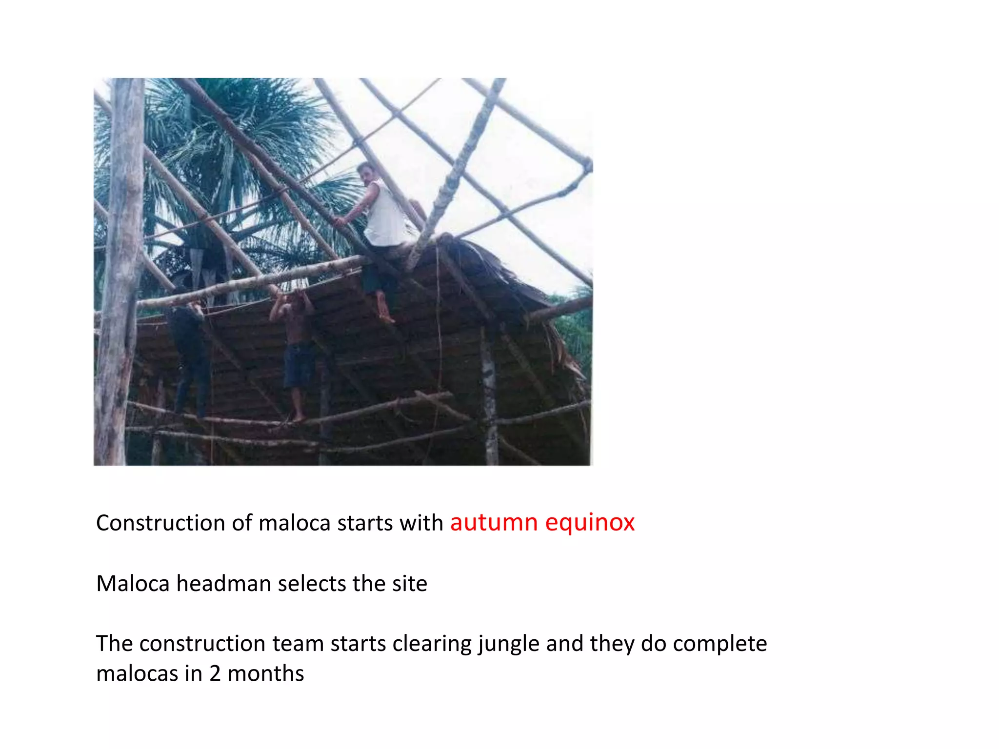 Construction of maloca starts with autumn equinox
Maloca headman selects the site
The construction team starts clearing jungle and they do complete
malocas in 2 months
 