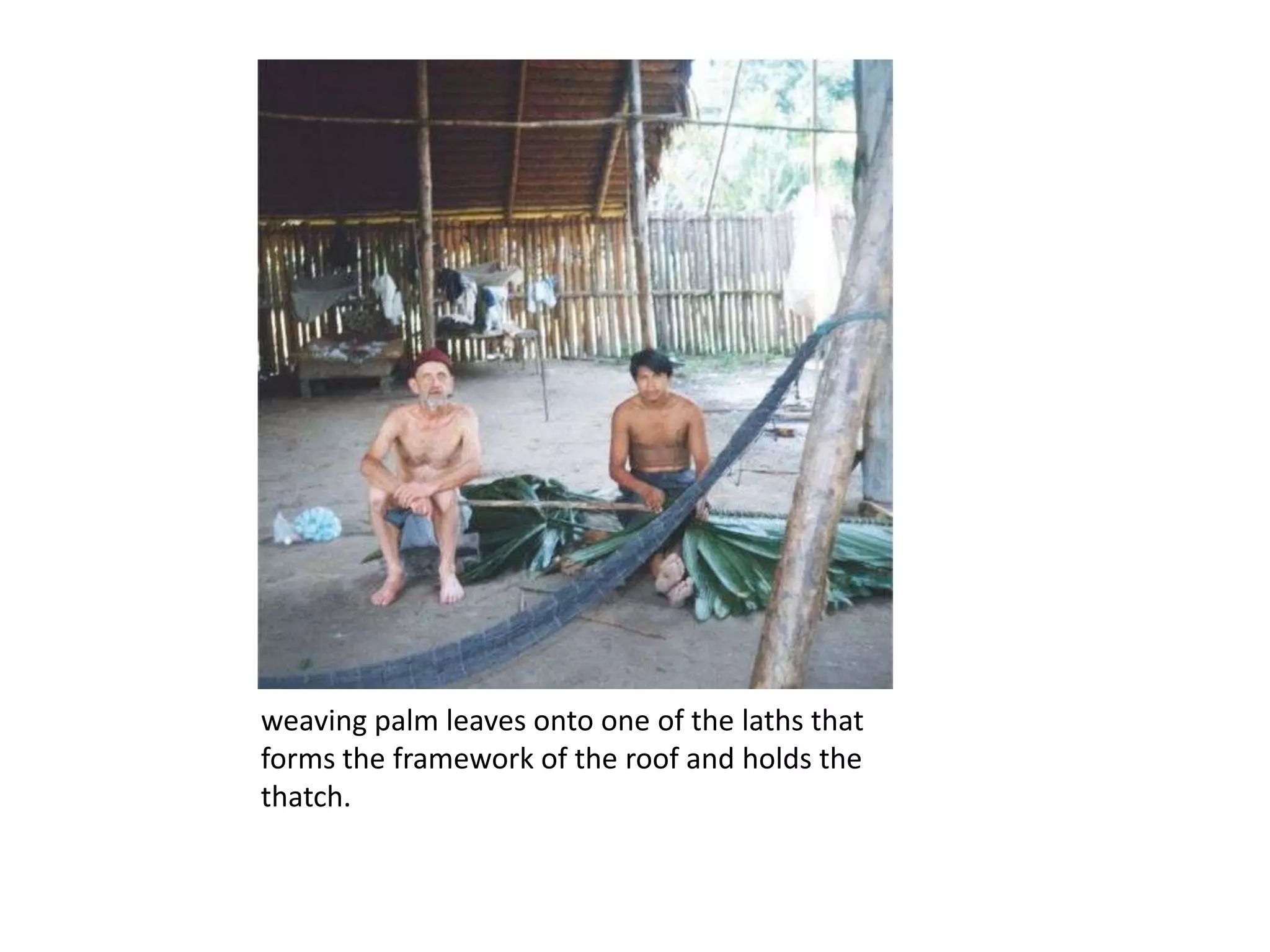 weaving palm leaves onto one of the laths that
forms the framework of the roof and holds the
thatch.
 