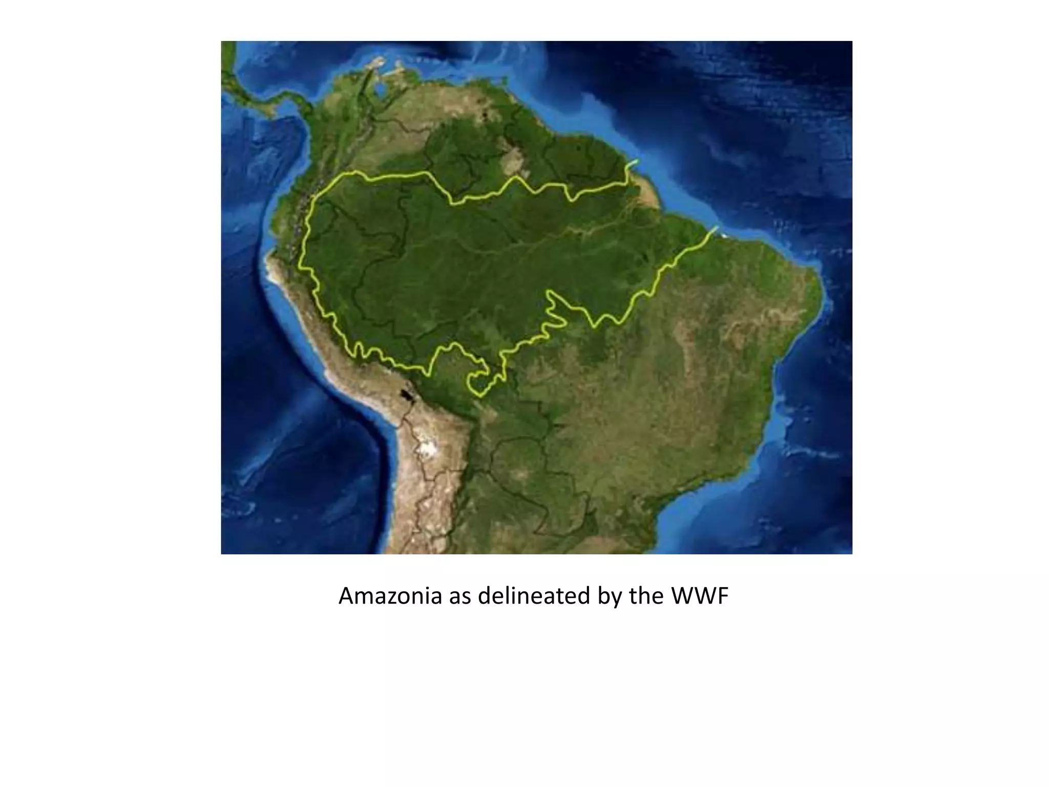 Amazonia as delineated by the WWF
 