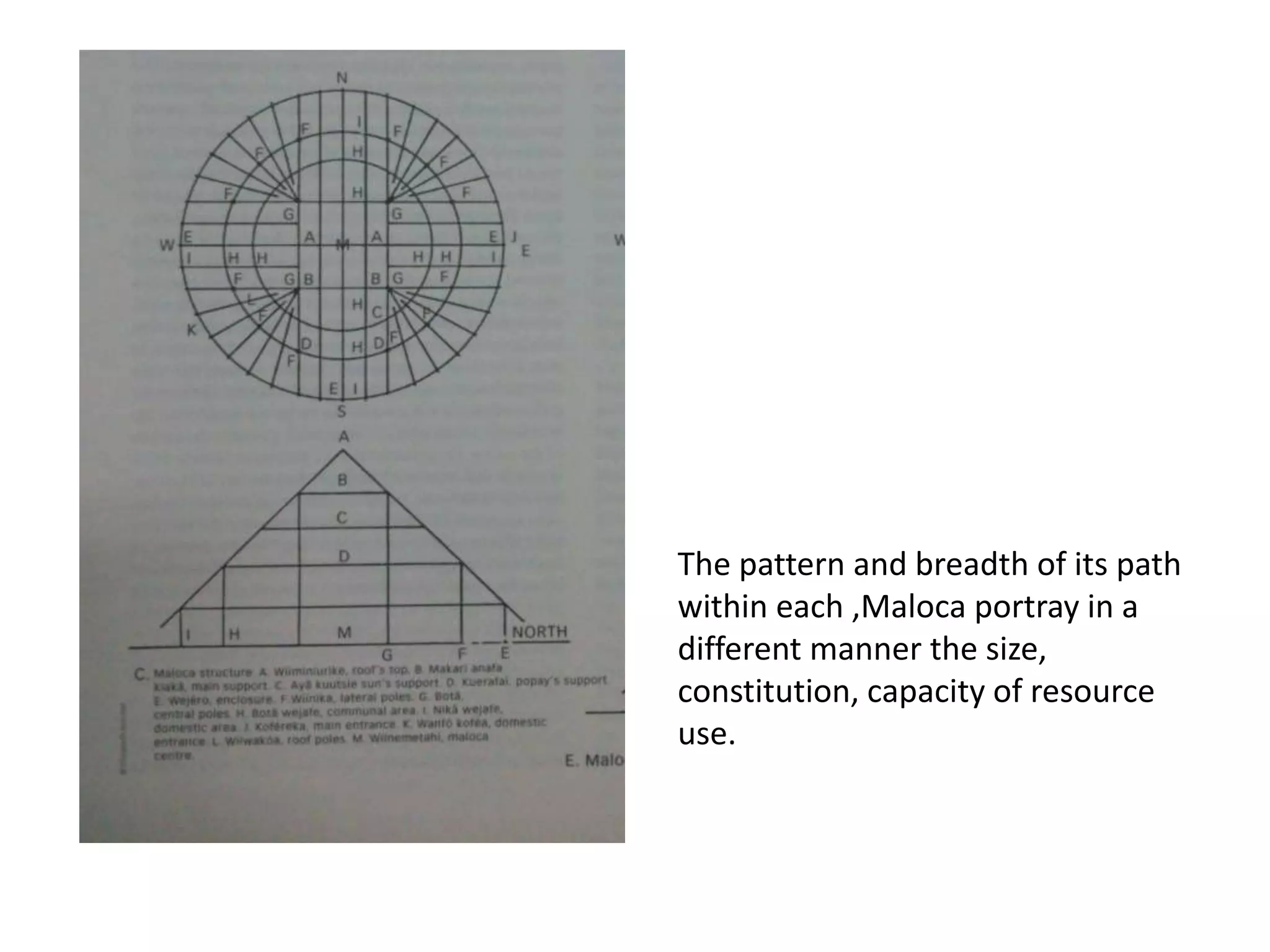 The pattern and breadth of its path
within each ,Maloca portray in a
different manner the size,
constitution, capacity of resource
use.
 