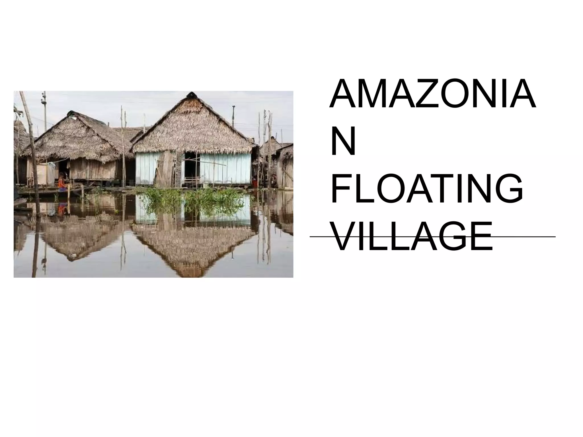 AMAZONIA
N
FLOATING
VILLAGE
 