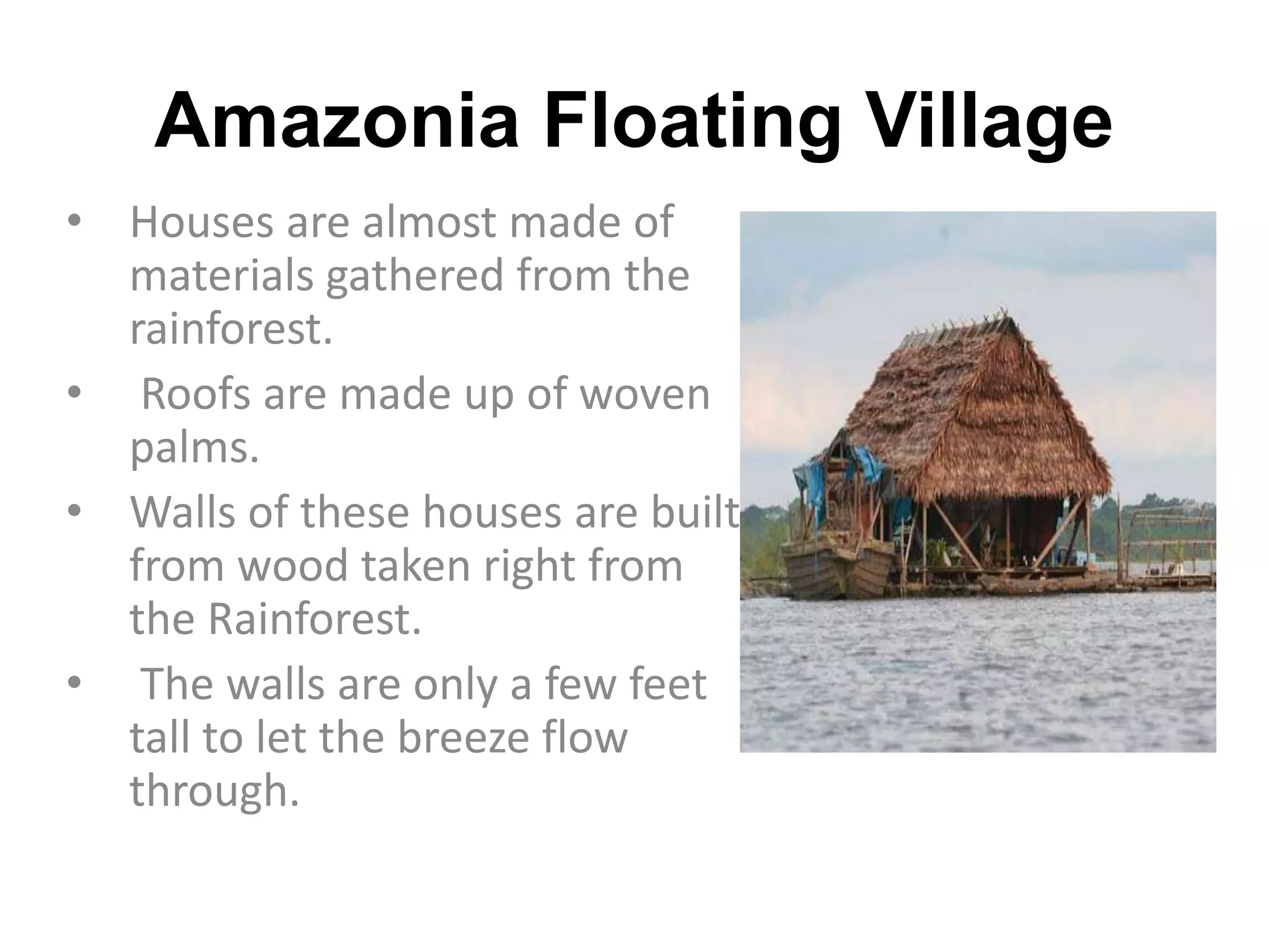 Amazonia Floating Village
• Houses are almost made of
materials gathered from the
rainforest.
• Roofs are made up of woven
palms.
• Walls of these houses are built
from wood taken right from
the Rainforest.
• The walls are only a few feet
tall to let the breeze flow
through.
 