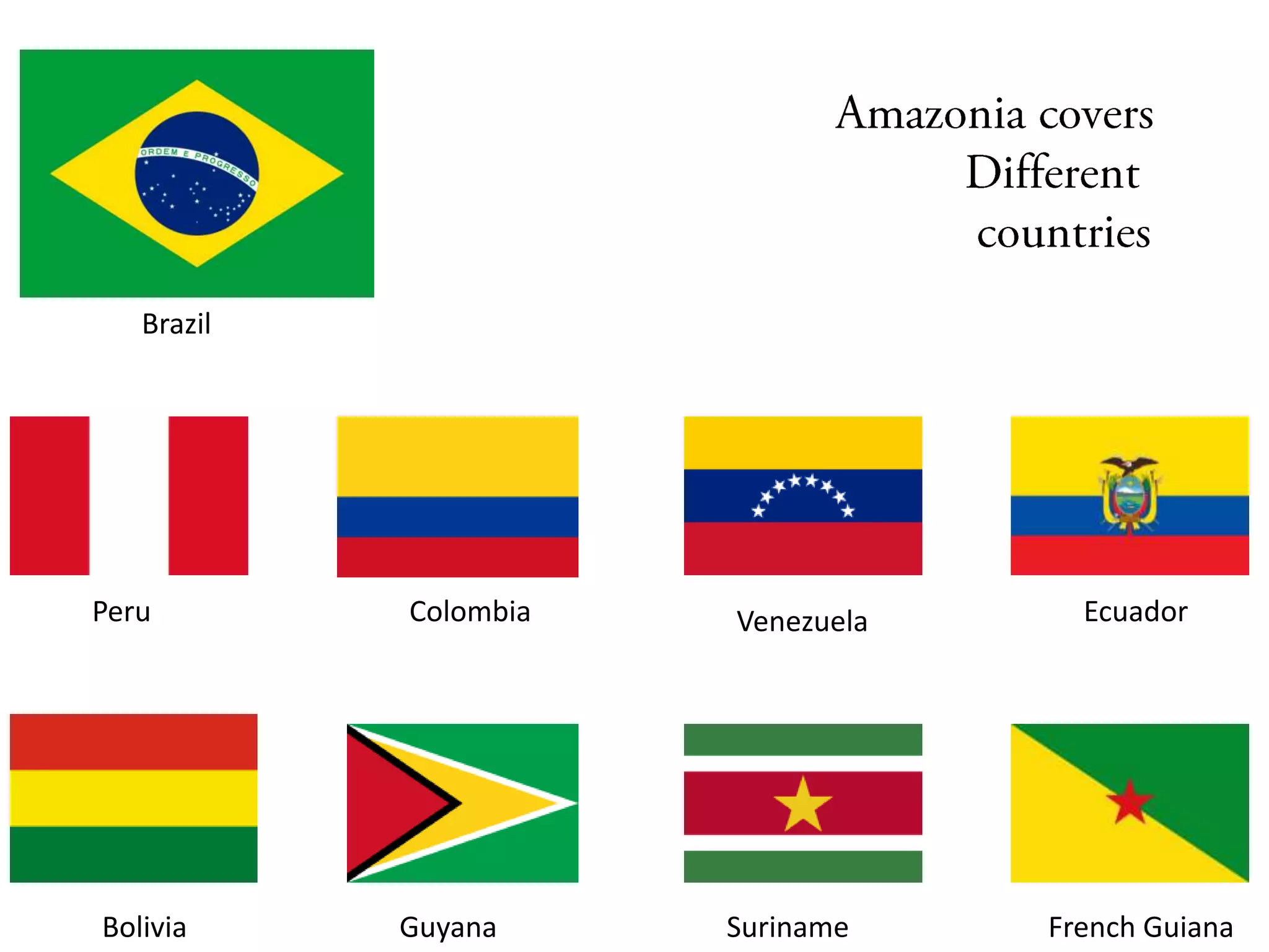 Brazil
Peru Colombia Venezuela Ecuador
Bolivia Guyana Suriname French Guiana
 