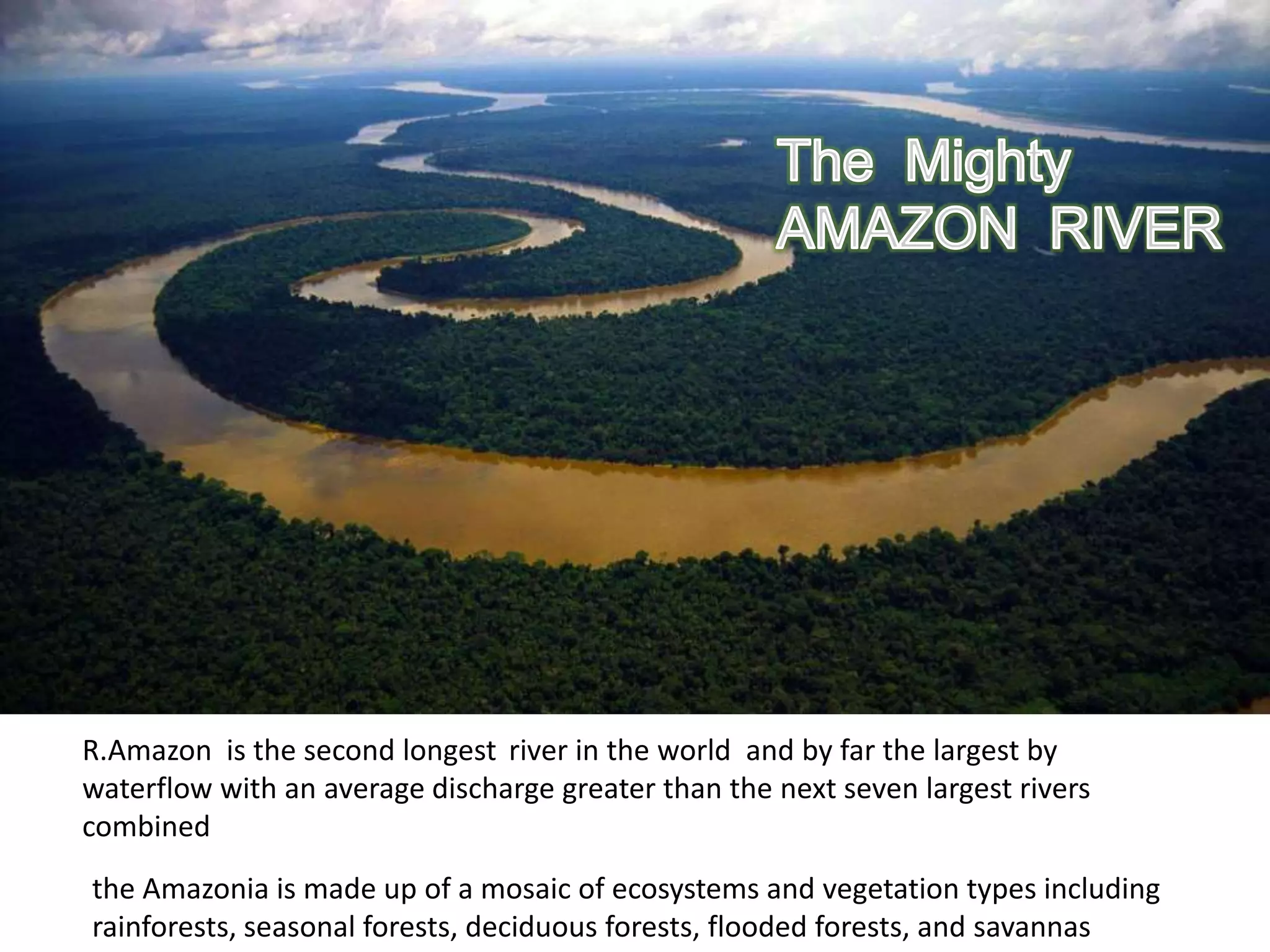 R.Amazon is the second longest river in the world and by far the largest by
waterflow with an average discharge greater than the next seven largest rivers
combined
the Amazonia is made up of a mosaic of ecosystems and vegetation types including
rainforests, seasonal forests, deciduous forests, flooded forests, and savannas
 