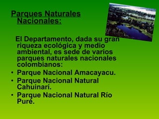 Parques Naturales Nacionales: El Departamento, dada su gran riqueza ecológica y medio ambiental, es sede de varios parques naturales nacionales colombianos: Parque Nacional Amacayacu. Parque Nacional Natural Cahuinarí. Parque Nacional Natural Río Puré. 
