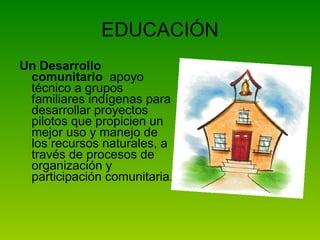 EDUCACIÓN Un Desarrollo comunitario   apoyo técnico a grupos familiares indígenas para desarrollar proyectos pilotos que propicien un mejor uso y manejo de los recursos naturales, a través de procesos de organización y participación comunitaria. 
