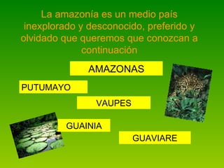 La amazonía es un medio país inexplorado y desconocido, preferido y olvidado que queremos que conozcan a continuación AMAZONAS VAUPES GUAINIA PUTUMAYO GUAVIARE 