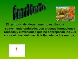 El territorio del departamento es plano y  suavemente ondulado, con algunas formaciones rocosas y elevaciones que no sobrepasan los 300 sobre el nivel del mar. A la llegada de los metros.  territorio 