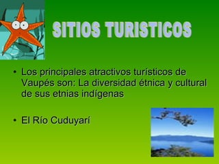 Los principales atractivos turísticos de Vaupés son: La diversidad étnica y cultural de sus etnias indígenas El Río Cuduyarí SITIOS TURISTICOS  