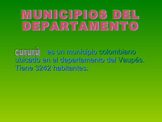 es un municipio  colombiano  ubicado en el departamento del  Vaupés . Tiene 3242 habitantes.  MUNICIPIOS DEL  DEPARTAMENTO  cururù 