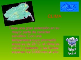 Tiene una gran extensión en su mayor parte de carácter selvático. Con una temperatura cuyo promedio anual es de 28 ºC, el clima es cálido y húmedo, y las lluvias superan los 3.000 mm al año .  CLIMA 