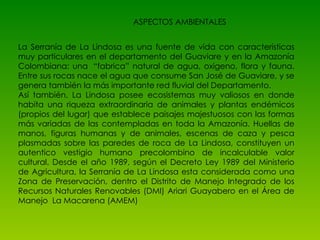 ASPECTOS AMBIENTALES La Serranía  de La Lindosa es una fuente de vida con características muy particulares en el departamento del Guaviare y en la Amazonía Colombiana: una  “fabrica” natural de agua, oxigeno, flora y fauna. Entre sus rocas nace el agua que consume San José de Guaviare, y se genera también la más importante red fluvial del Departamento. Así también, La Lindosa posee ecosistemas muy valiosos en donde habita una riqueza extraordinaria de animales y plantas endémicos (propios del lugar) que establece paisajes majestuosos con las formas más variadas de las contempladas en toda la Amazonía. Huellas de manos, figuras humanas y de animales, escenas de caza y pesca plasmadas sobre las paredes de roca de La Lindosa, constituyen un autentico vestigio humano precolombino de incalculable valor cultural. Desde el año 1989, según el Decreto Ley 1989 del Ministerio de Agricultura, la Serranía de La Lindosa esta considerada como una Zona de Preservación, dentro el Distrito de Manejo Integrado de los Recursos Naturales Renovables (DMI) Ariari Guayabero en el Área de Manejo  La Macarena (AMEM) 