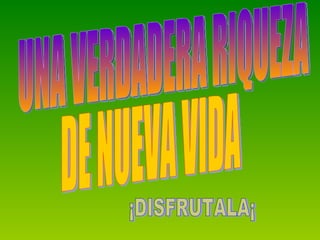 UNA VERDADERA RIQUEZA DE NUEVA VIDA ¡DISFRUTALA¡ 