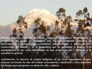 Hon. Richard Moss, Minister of Foreign Trade.  June 2002 Durante muchos años, las sociedades indígenas amazónicas desarrollaron y difundieron un grupo de estrategias que les han permitido conservar la biodiversidad y alcanzar una estabilidad socioambiental a través de una cosmovisión del mundo y de la naturaleza que ha permitido el manejo y la manipulación de los varios ecosistemas de una manera propia y diferente a la sociedad en general. Actualmente, la mayoría de grupos indígenas en las áreas amazónicas, ocupan extensos territorios de alta diversidad sociocultural y ambiental y éstos dependen del bosque para perpetuar su modo de vida y cultura. 