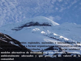 Frente a los cambios regionales, nacionales e internacionales, los indígenas empezaron a formar organizaciones representativas con el afán de preservar sus territorios y así también buscan establecer  modelos alternativos de desarrollo que sean rentables, sostenibles, ambientalmente adecuados y que preserven los valores de la comunidad .  
