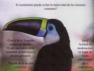 Hon. Richard Moss, Minister of Foreign Trade.  June 2002 El ecoturismo puede evitar la ruina total de los recursos comunes? Teoría de la Tragedia común de Hardin Cada operadora debe aumentar al máximo su propia ganancia Teoría de la acción colectiva. Ideal Actitud de moderación, en lugar de leyes administrativas y coercitivas 