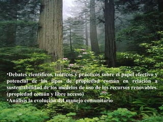 Hon. Richard Moss, Minister of Foreign Trade.  June 2002 Debates científicos, teóricos y prácticos sobre el papel efectivo y potencial de los tipos de propiedad común en relación a sustentabilidad de los modelos de uso de los recursos renovables. (propiedad común y libre acceso) Análisis la evolución del manejo comunitario 