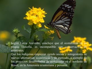 Hon. Richard Moss, Minister of Foreign Trade.  June 2002 Según Luiza Azevedo, concluye que el ecoturismo en su propia filosofía, es incompatible con conservación de ambientes. Que los indígenas empiezan siendo socios y autogestores de nuevas alternativas económicas y de mercado, a ejemplo de los proyectos desarrollados de ecoturismo en el nordeste de Brasil, en la Amazonia ecuatoriana y peruana. 