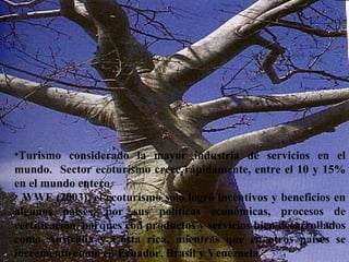 Hon. Richard Moss, Minister of Foreign Trade.  June 2002 Turismo considerado la mayor industria de servicios en el mundo.  Sector ecoturismo crece rápidamente, entre el 10 y 15% en el mundo entero. WWF (2003), el ecoturismo solo logró incentivos y beneficios en algunos países, por sus políticas económicas, procesos de certificación, parques con productos y servicios bien desarrollados como Australia y Costa rica, mientras que en otros países se incrementó como en Ecuador, Brasil y Venezuela. 