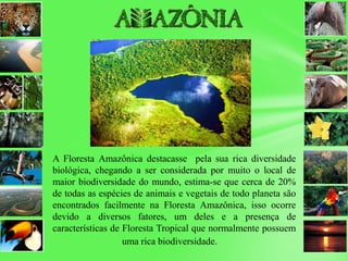 A Floresta Amazônica destacasse pela sua rica diversidade
biológica, chegando a ser considerada por muito o local de
maior biodiversidade do mundo, estima-se que cerca de 20%
de todas as espécies de animais e vegetais de todo planeta são
encontrados facilmente na Floresta Amazônica, isso ocorre
devido a diversos fatores, um deles e a presença de
características de Floresta Tropical que normalmente possuem
uma rica biodiversidade.
 