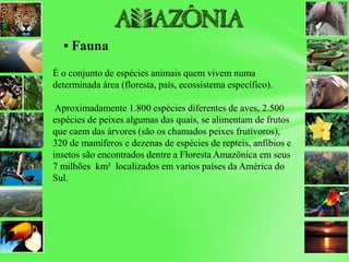 • Fauna
É o conjunto de espécies animais quem vivem numa
determinada área (floresta, país, ecossistema específico).
Aproximadamente 1.800 espécies diferentes de aves, 2.500
espécies de peixes algumas das quais, se alimentam de frutos
que caem das árvores (são os chamados peixes frutívoros),
320 de mamíferos e dezenas de espécies de repteis, anfíbios e
insetos são encontrados dentre a Floresta Amazônica em seus
7 milhões km² localizados em varios países da América do
Sul.
 
