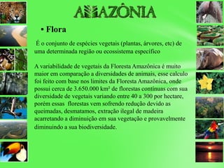• Flora
É o conjunto de espécies vegetais (plantas, árvores, etc) de
uma determinada região ou ecossistema específico
A variabilidade de vegetais da Floresta Amazônica é muito
maior em comparação a diversidades de animais, esse calculo
foi feito com base nos limites da Floresta Amazônica, onde
possui cerca de 3.650.000 km² de florestas contínuas com sua
diversidade de vegetais variando entre 40 a 300 por hectare,
porém essas florestas vem sofrendo redução devido as
queimadas, desmatamos, extração ilegal de madeira
acarretando a diminuição em sua vegetação e provavelmente
diminuindo a sua biodiversidade.
 
