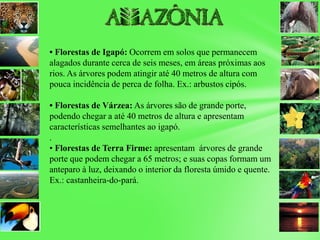 • Florestas de Igapó: Ocorrem em solos que permanecem
alagados durante cerca de seis meses, em áreas próximas aos
rios. As árvores podem atingir até 40 metros de altura com
pouca incidência de perca de folha. Ex.: arbustos cipós.
• Florestas de Várzea: As árvores são de grande porte,
podendo chegar a até 40 metros de altura e apresentam
características semelhantes ao igapó.
.
• Florestas de Terra Firme: apresentam árvores de grande
porte que podem chegar a 65 metros; e suas copas formam um
anteparo à luz, deixando o interior da floresta úmido e quente.
Ex.: castanheira-do-pará.
 