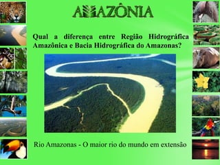 Qual a diferença entre Região Hidrográfica
Amazônica e Bacia Hidrográfica do Amazonas?
Rio Amazonas - O maior rio do mundo em extensão
 