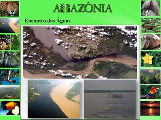 Encontro das Águas
 