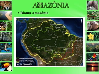• Bioma Amazônia
 