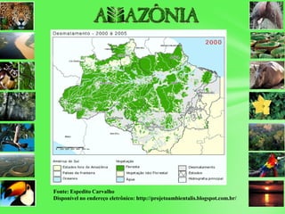 Fonte: Espedito Carvalho
Disponível no endereço eletrônico: http://projetoambientalis.blogspot.com.br/
 