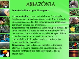 Soluções Indicadas pelo Greenpeace
Áreas protegidas: Uma parte do bioma é protegida
legalmente por unidades de conservação. Mas a falta de
implementação das leis faz com que mesmo essas áreas
continuem à mercê dos criminosos.
Regularização fundiária: É a definição, pelo Estado, de
quem tem direito à posse de terra. O primeiro passo é o
mapeamento das propriedades privadas para possibilitar
o monitoramento de novos desmatamentos e a
responsabilização de toda a cadeia produtiva pelos
crimes ambientais ocorridos.
Governança: Para todas essas medidas se tornarem
efetivas, o governo precisa estar na Amazônia, com
recursos e infraestrutura para fazer valer as leis de
preservação.
 