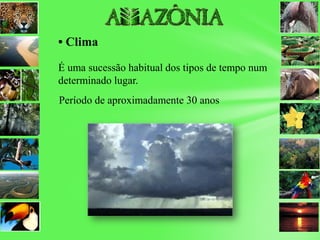 • Clima
É uma sucessão habitual dos tipos de tempo num
determinado lugar.
Período de aproximadamente 30 anos
 