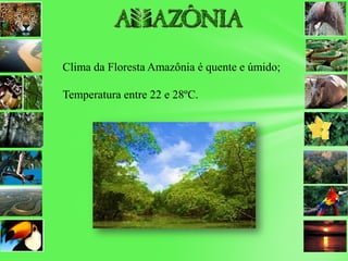 Clima da Floresta Amazônia é quente e úmido;
Temperatura entre 22 e 28ºC.
 