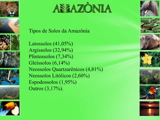 Tipos de Solos da Amazônia
Latossolos (41,05%)
Argissolos (32,94%)
Plintossolos (7,34%)
Gleissolos (6,14%)
Neossolos Quartzarênicos (4,81%)
Neossolos Litólicos (2,60%)
Espodossolos (1,95%)
Outros (3,17%).
 