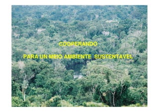 COOPERANDO

PARA UN MEIO AMBIENTE SUSTENTAVEL
 