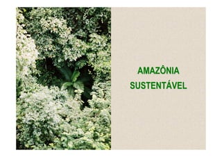 AMAZÔNIA
SUSTENTÁVEL
 