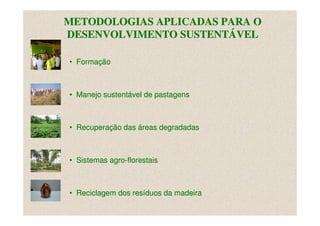METODOLOGIAS APLICADAS PARA O
DESENVOLVIMENTO SUSTENTÁVEL

• Formação



• Manejo sustentável de pastagens



• Recuperação das áreas degradadas



• Sistemas agro-florestais



• Reciclagem dos resíduos da madeira
 