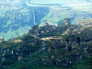 Amazonia venezuelana