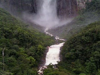 Amazonia venezuelana
