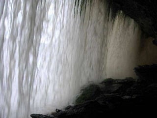 Amazonia venezuelana