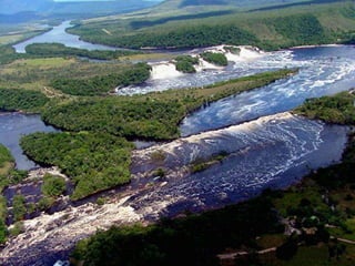 Amazonia venezuelana