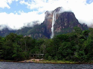 Amazonia venezuelana