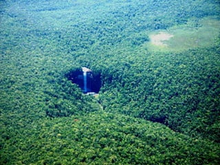 Amazonia venezuelana