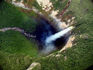 Amazonia venezuelana