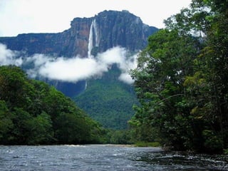 Amazonia venezuelana