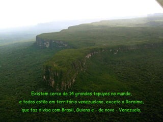 Existem cerca de 14 grandes tepuyes no mundo,
e todos estão em território venezuelano, exceto o Roraima,
que faz divisa com Brasil, Guiana e - de novo - Venezuela.

 
