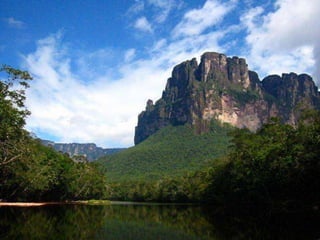 Amazonia venezuelana