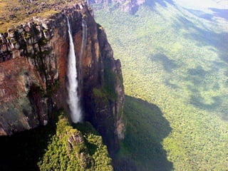 Amazonia venezuelana